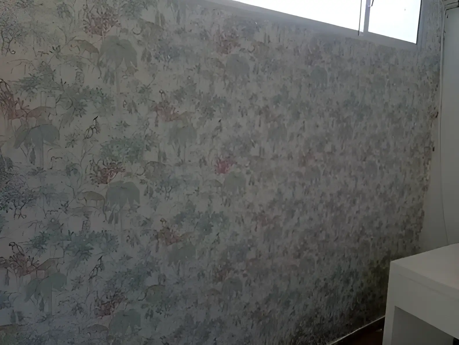 Los Pintores Toledo colocando papel pintado decorativo en pared completa de habitación